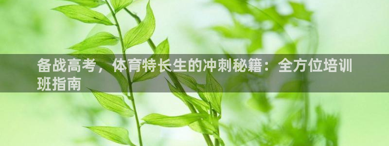 欧陆娱乐登录测速软件：备战高考，体育特长生的冲刺秘籍