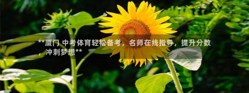 欧陆娱乐累计盈利多少就会被劝退呢知乎：**厦门 中考