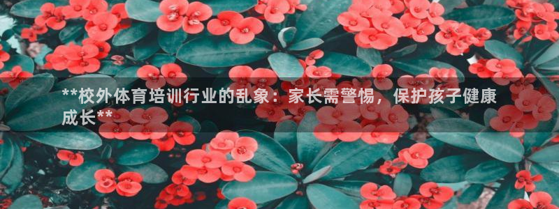 欧陆公司在哪里：**校外体育培训行业的乱象：家长需警