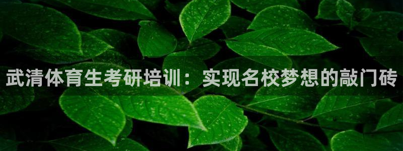 欧陆娱乐计划预测软件哪个好：武清体育生考研培训：实现