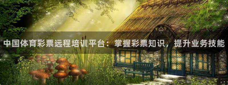 欧陆娱乐客服电话：中国体育彩票远程培训平台：掌握彩票