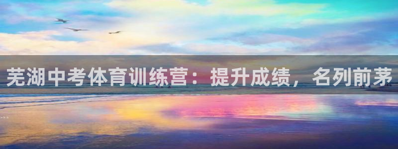 欧陆娱乐能不能玩手游：芜湖中考体育训练营：提升成绩，