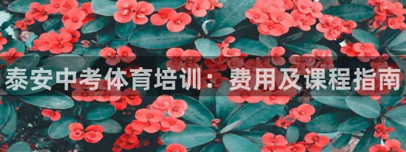 欧陆娱乐挂机项目：泰安中考体育培训：费用及课程指南