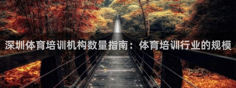 欧陆娱乐官网下载安装：深圳体育培训机构数量指南：体育