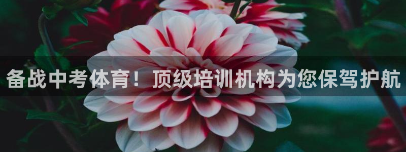 欧陆娱乐挂机怎么玩游戏：备战中考体育！顶级培训机构为