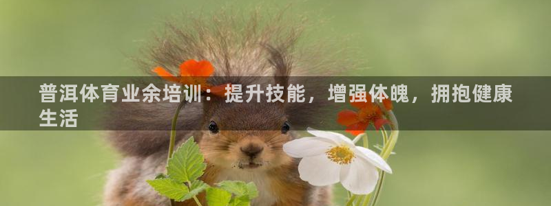 欧陆娱乐测速软件下载：普洱体育业余培训：提升技能，增