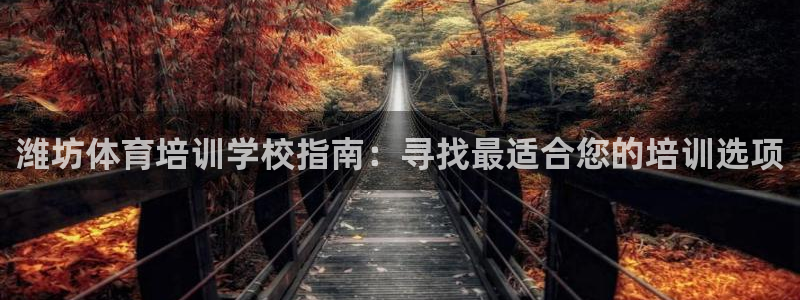 欧陆娱乐提现两百万：潍坊体育培训学校指南：寻找最适合