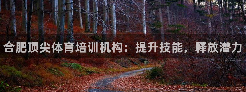欧陆娱乐挂机项目怎么设置：合肥顶尖体育培训机构：提升