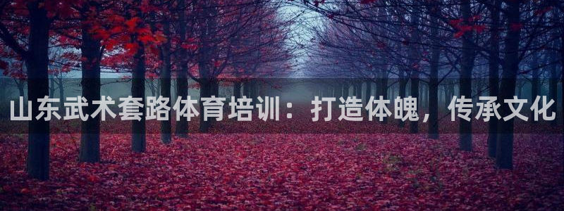 欧陆娱乐平台登录不上去：山东武术套路体育培训：打造体