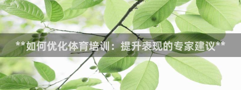 欧陆娱乐官网网址：**如何优化体育培训：提升表现的专