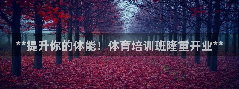 欧陆娱乐登录官网入口：**提升你的体能！体育培训班隆