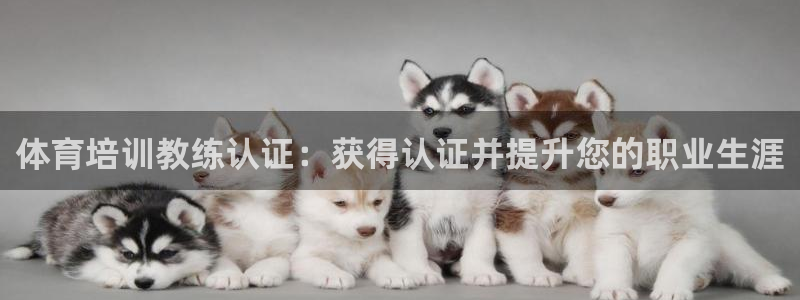 欧陆娱乐公司产品介绍