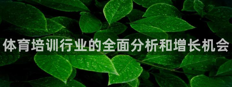 欧陆娱乐注册芯7o777ts=0：体育培训行业的全面