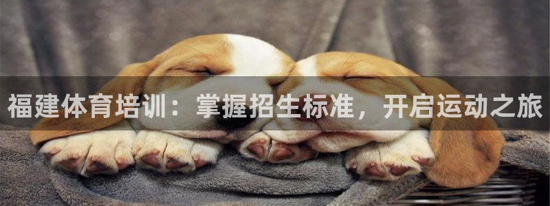 欧陆娱乐登陆官网：福建体育培训：掌握招生标准，开启运