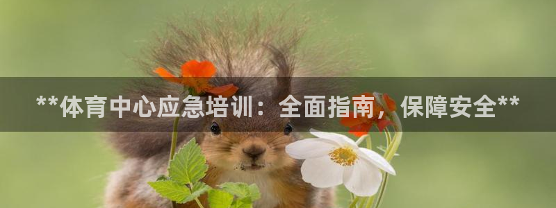 欧陆娱乐有限公司招聘：**体育中心应急培训：全面指南