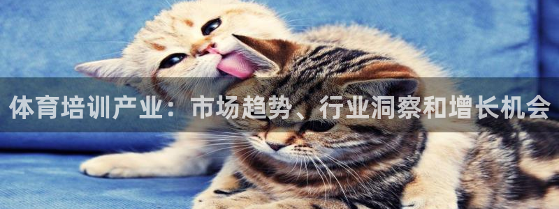 欧陆娱乐公司产品介绍怎么写