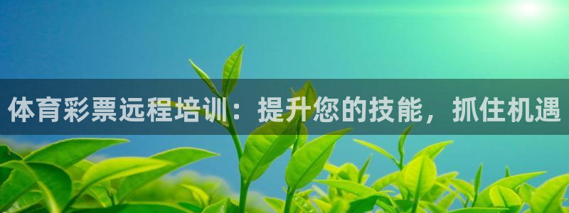 欧陆娱乐里面怎么看打排五：体育彩票远程培训：提升您的