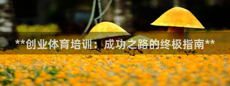欧陆娱乐推广奖金多少：**创业体育培训：成功之路的终