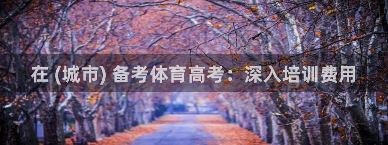 欧陆娱乐是什么：在 (城市) 备考体育高考：深入培训