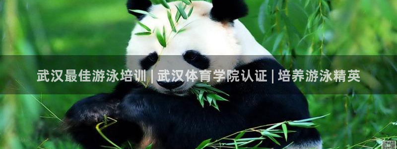 欧陆娱乐官方网站：武汉最佳游泳培训 | 武汉体育学院