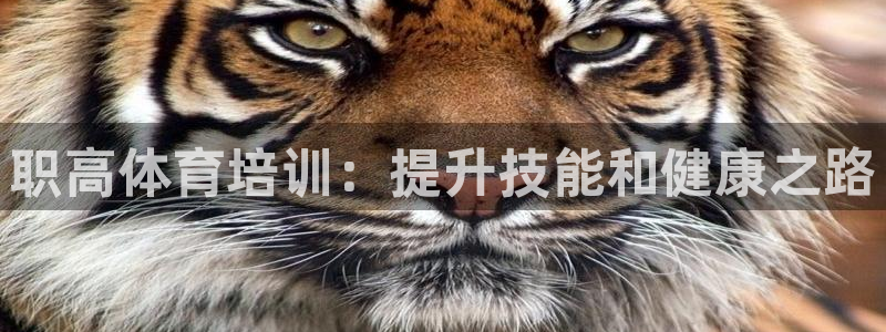 欧陆娱乐里面怎么看打排五：职高体育培训：提升技能和健