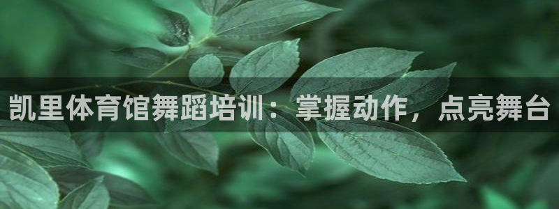 欧陆娱乐登录测速网站：凯里体育馆舞蹈培训：掌握动作，