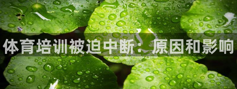 欧陆娱乐会员有什么用：体育培训被迫中断：原因和影响