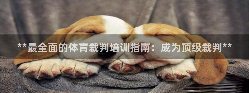 欧陆娱乐官方网站首页：**最全面的体育裁判培训指南：