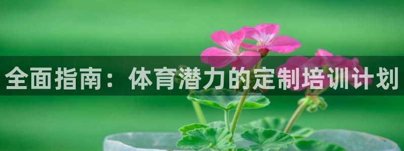 重庆欧陆娱乐有限公司：全面指南：体育潜力的定制培训计