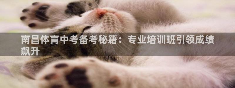 欧陆娱乐平台登录不上去怎么回事：南昌体育中考备考秘籍