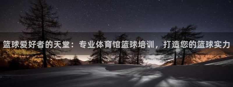 欧陆娱乐app攻略：篮球爱好者的天堂：专业体育馆篮球