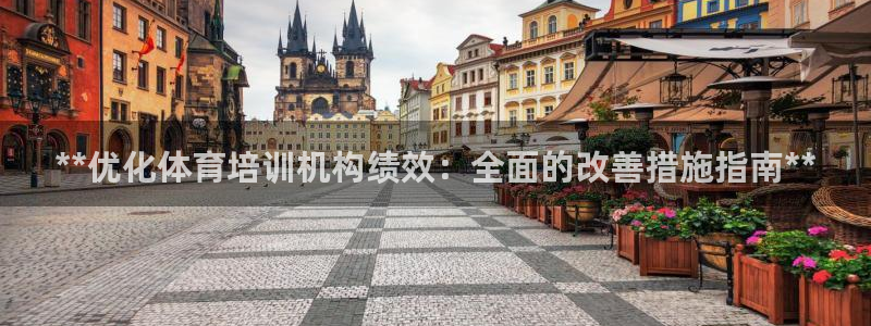 欧陆娱乐游戏：**优化体育培训机构绩效：全面的改善措