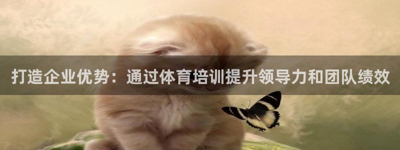 欧陆娱乐脚本下载：打造企业优势：通过体育培训提升领导