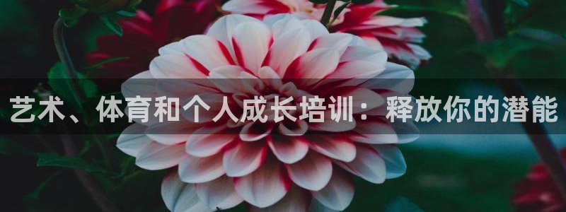 欧陆娱乐官网首页入口：艺术、体育和个人成长培训：释放你的潜能