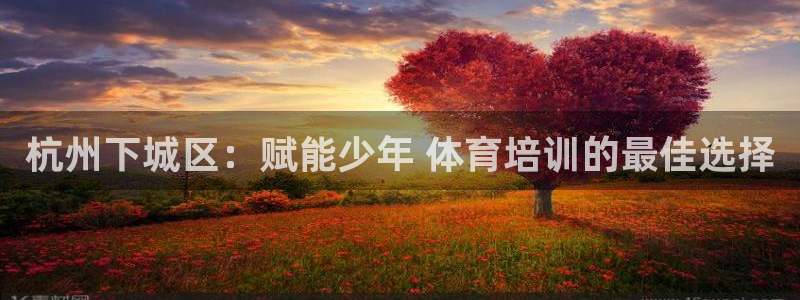 欧陆娱乐app下载：杭州下城区：赋能少年 体育培训的