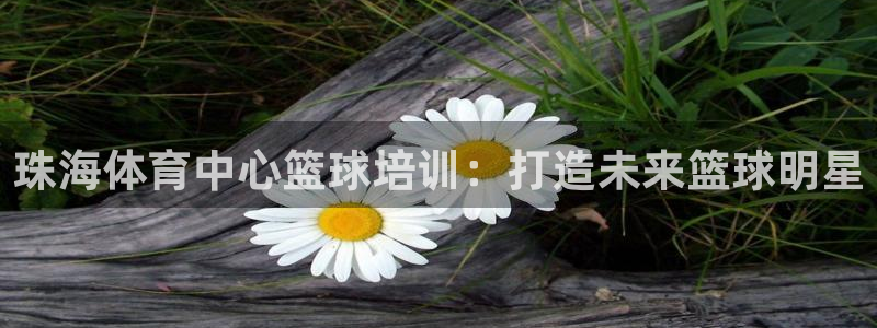 欧陆娱乐代理多少个点位合适：珠海体育中心篮球培训：打