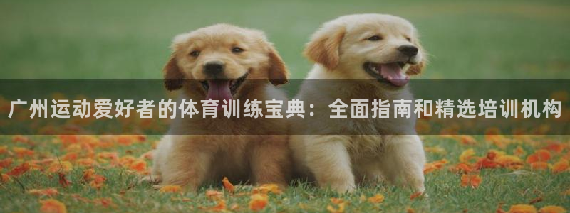 欧陆娱乐怎么注册会员账号：广州运动爱好者的体育训练宝典：全面