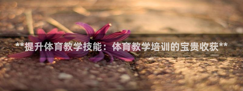 欧陆娱乐是正规平台吗安全吗可靠吗：**提升体育教学技