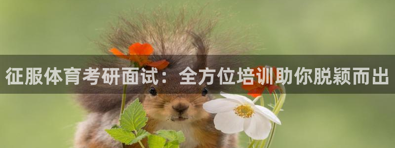 欧陆娱乐官方网站：征服体育考研面试：全方位培训助你脱