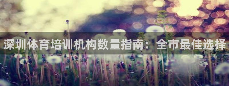 欧陆娱乐代理多少个点位合适：深圳体育培训机构数量指南
