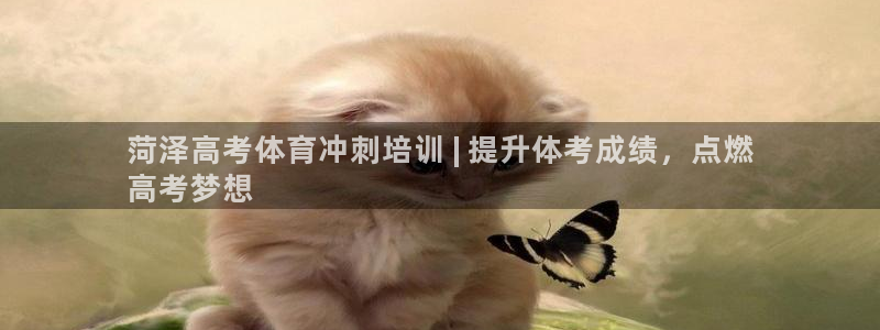 欧陆娱乐欢迎访问：菏泽高考体育冲刺培训 | 提升体考