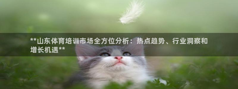 欧陆娱乐登录平台下载：**山东体育培训市场全方位分析