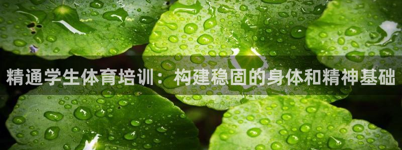 欧陆娱乐计划预测软件下载