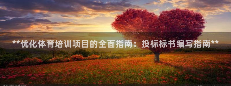 欧陆娱乐招商主管：**优化体育培训项目的全面指南：投