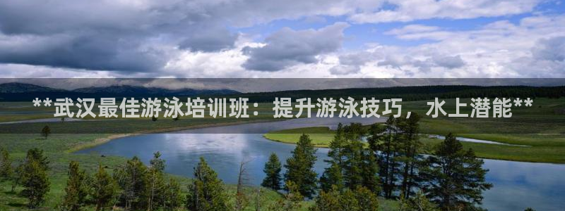 欧陆娱乐平台咋样赚钱的：**武汉最佳游泳培训班：提升