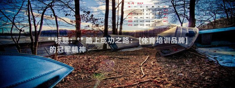 欧陆游戏平台：**标题：** 踏上成功之路： [体育
