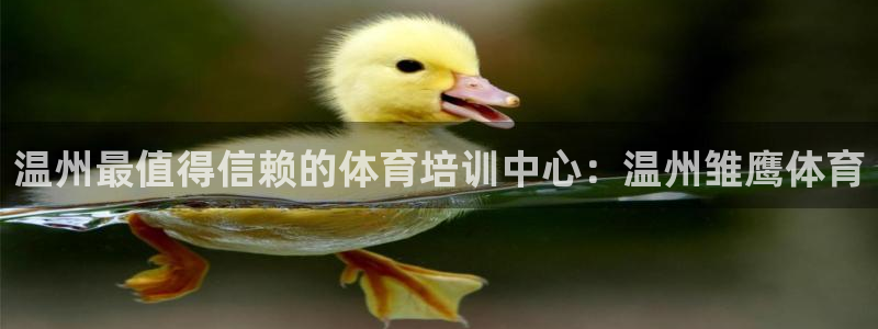 欧陆娱乐稳中：温州最值得信赖的体育培训中心：温州雏鹰