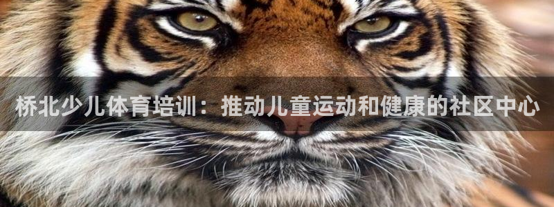 欧陆娱乐登录注册平台官网：桥北少儿体育培训：推动儿童