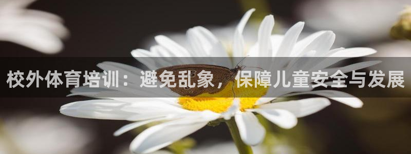 欧陆娱乐挂机项目怎么弄：校外体育培训：避免乱象，保障