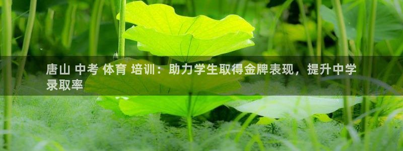 欧陆娱乐简介：唐山 中考 体育 培训：助力学生取得金